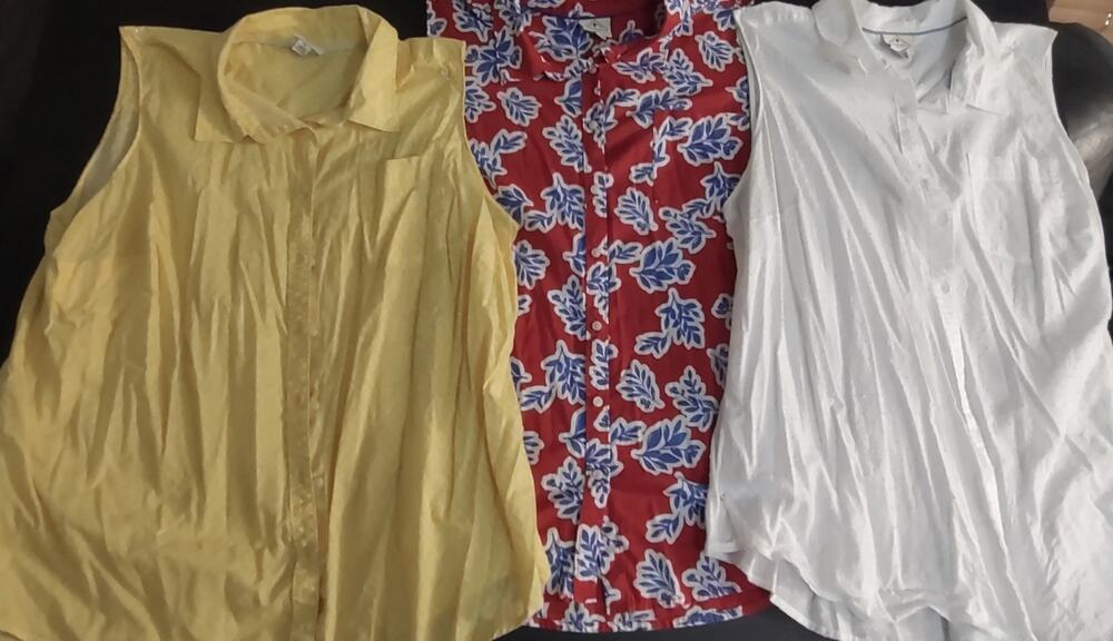 Lot Of 3 Womens Sleeveless Shirts Button Up Worn-Good Condition 1X&2X-SeePics